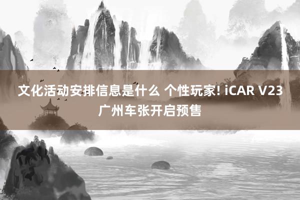 文化活动安排信息是什么 个性玩家! iCAR V23广州车张开启预售