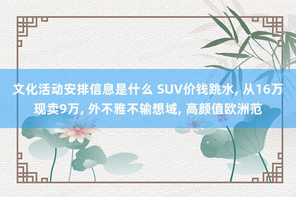 文化活动安排信息是什么 SUV价钱跳水, 从16万现卖9万, 外不雅不输想域, 高颜值欧洲范