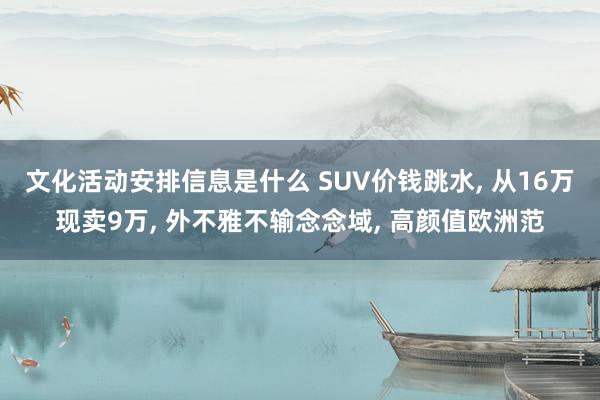 文化活动安排信息是什么 SUV价钱跳水, 从16万现卖9万, 外不雅不输念念域, 高颜值欧洲范