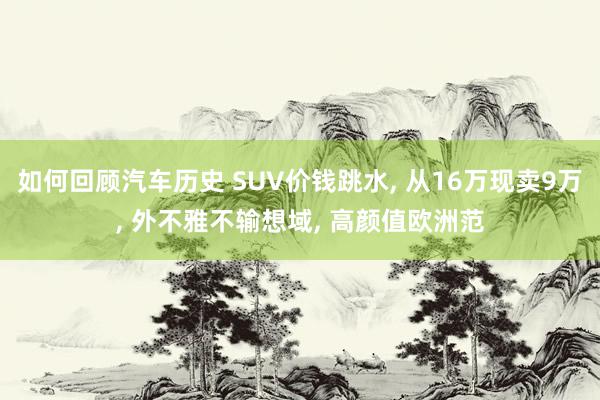 如何回顾汽车历史 SUV价钱跳水, 从16万现卖9万, 外不雅不输想域, 高颜值欧洲范