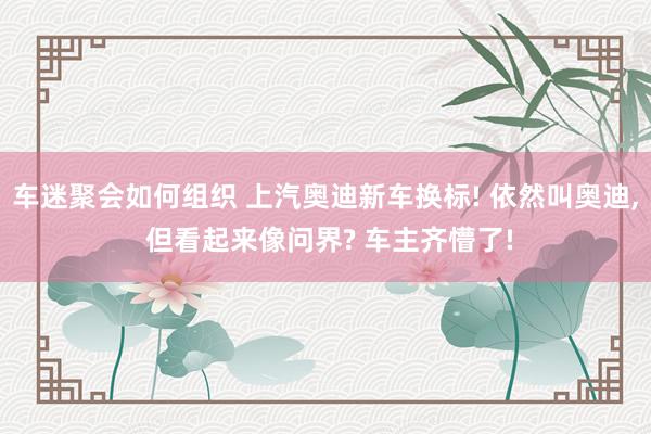 车迷聚会如何组织 上汽奥迪新车换标! 依然叫奥迪, 但看起来像问界? 车主齐懵了!