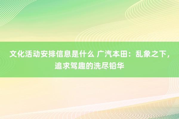 文化活动安排信息是什么 广汽本田：乱象之下，追求驾趣的洗尽铅华