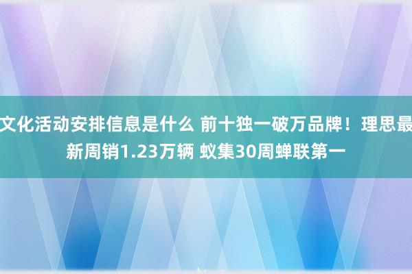 文化活动安排信息是什么 前十独一破万品牌！理思最新周销1.23万辆 蚁集30周蝉联第一