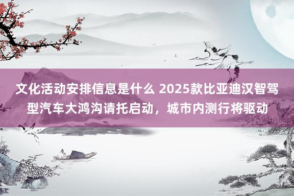 文化活动安排信息是什么 2025款比亚迪汉智驾型汽车大鸿沟请托启动，城市内测行将驱动