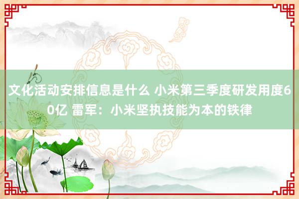 文化活动安排信息是什么 小米第三季度研发用度60亿 雷军：小米坚执技能为本的铁律