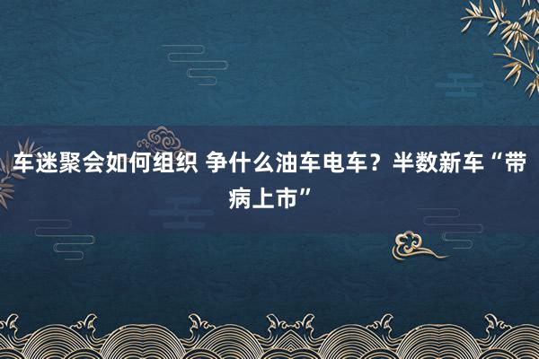 车迷聚会如何组织 争什么油车电车？半数新车“带病上市”