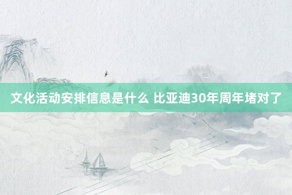 文化活动安排信息是什么 比亚迪30年周年堵对了