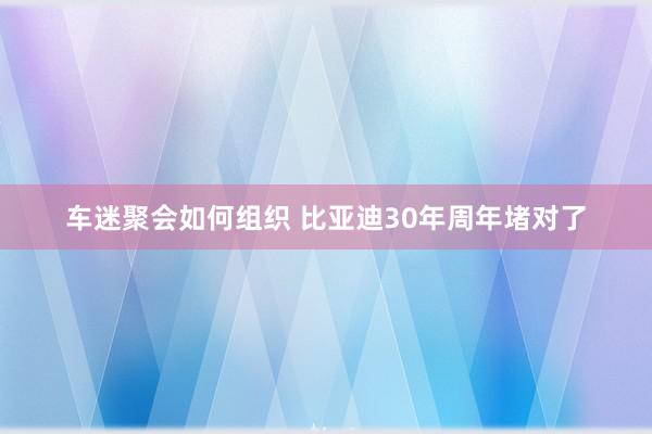 车迷聚会如何组织 比亚迪30年周年堵对了