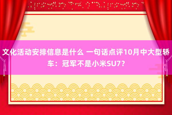 文化活动安排信息是什么 一句话点评10月中大型轿车：冠军不是小米SU7？