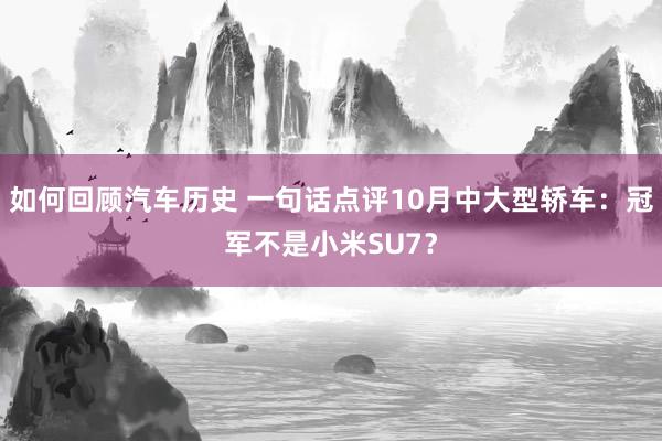 如何回顾汽车历史 一句话点评10月中大型轿车：冠军不是小米SU7？