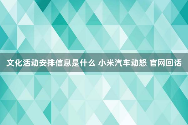 文化活动安排信息是什么 小米汽车动怒 官网回话