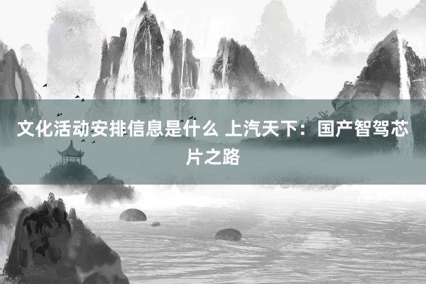 文化活动安排信息是什么 上汽天下：国产智驾芯片之路