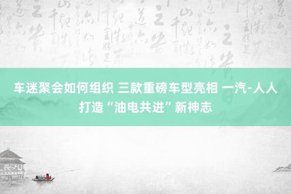 车迷聚会如何组织 三款重磅车型亮相 一汽-人人打造“油电共进”新神志