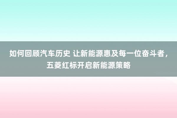 如何回顾汽车历史 让新能源惠及每一位奋斗者，五菱红标开启新能源策略