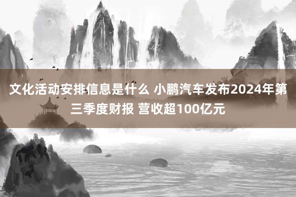 文化活动安排信息是什么 小鹏汽车发布2024年第三季度财报 营收超100亿元