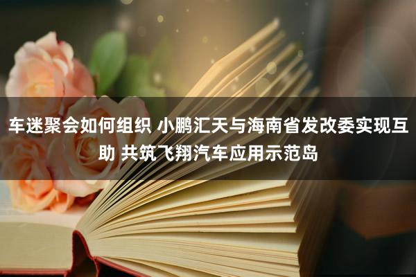 车迷聚会如何组织 小鹏汇天与海南省发改委实现互助 共筑飞翔汽车应用示范岛