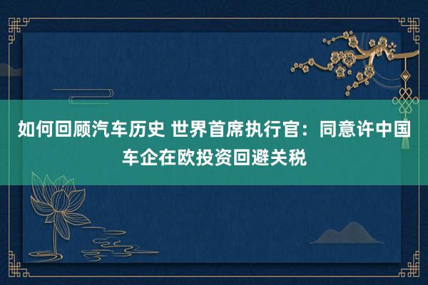 如何回顾汽车历史 世界首席执行官：同意许中国车企在欧投资回避关税