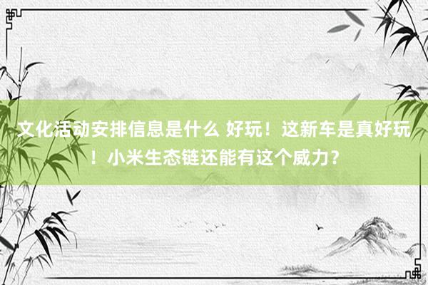 文化活动安排信息是什么 好玩！这新车是真好玩！小米生态链还能有这个威力？