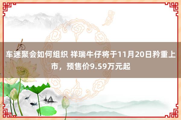 车迷聚会如何组织 祥瑞牛仔将于11月20日矜重上市，预售价9.59万元起