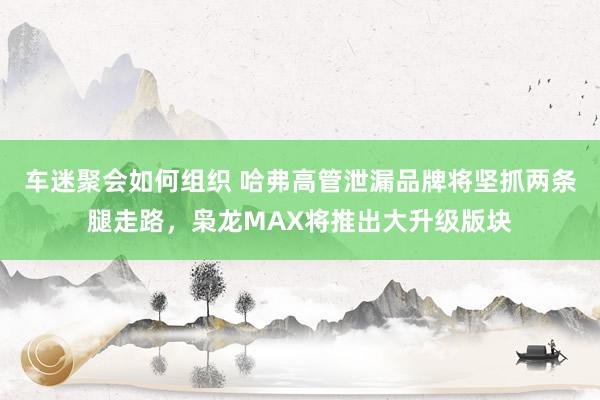 车迷聚会如何组织 哈弗高管泄漏品牌将坚抓两条腿走路，枭龙MAX将推出大升级版块