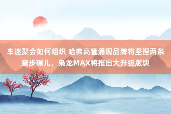 车迷聚会如何组织 哈弗高管涌现品牌将坚捏两条腿步碾儿，枭龙MAX将推出大升级版块